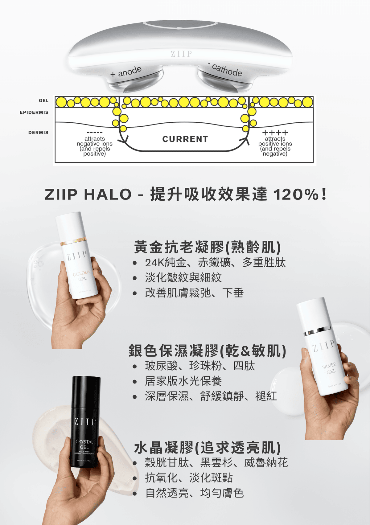 ZIIP導入凝膠限時最低價56折起